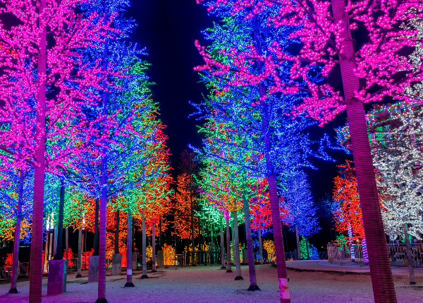 Ongekende mogelijkheden